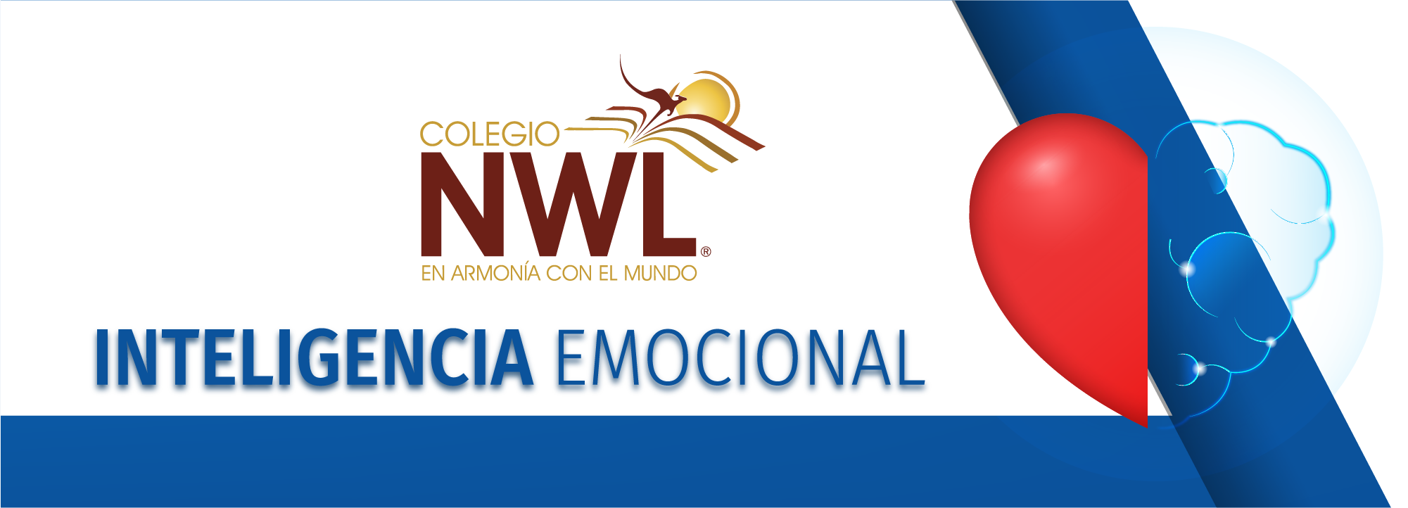 Inteligencia emocional-Docentes IntEmo-001